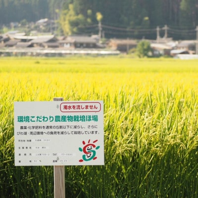 【令和5年産】　ファームひらいの環境こだわり米みずかがみ　白米5kg×2