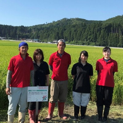 【令和5年産】　ファームひらいの環境こだわり米みずかがみ　玄米5kg×2