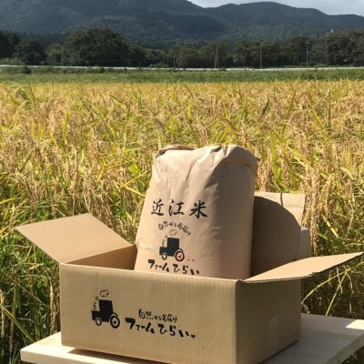 【令和5年産】　ファームひらいの環境こだわり米みずかがみ　白米10kg