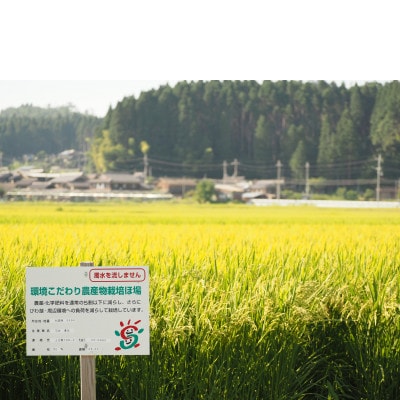 【令和5年産】　ファームひらいの栽培期間中化学肥料不使用米　酵素コシヒカリ　玄米5kg×2