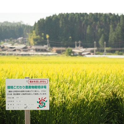 【令和5年産】　ファームひらいの化学肥料不使用米　酵素コシヒカリ　白米10kg