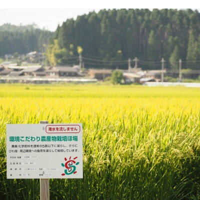 【令和5年産】　ファームひらいの栽培期間中化学肥料不使用米　酵素コシヒカリ　白米5kg×2