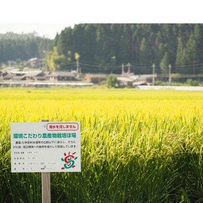 【令和5年産】　ファームひらいの栽培期間中化学肥料不使用米　きらみずき玄米10kg