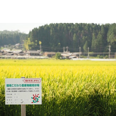 【令和5年産】　ファームひらいの栽培期間中化学肥料不使用米　きらみずき白米10kg