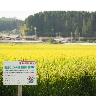 【令和5年産】　ファームひらいの栽培期間中化学肥料不使用米　きらみずき白米5kg×2