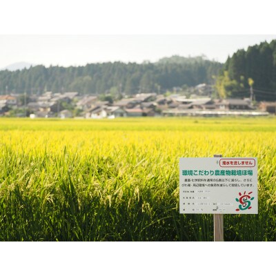【令和8年産】　ファームひらいの環境こだわり米みずかがみ　精米(白米)10kg×2