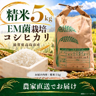 高島市 EM菌栽培コシヒカリ 精米 農家直送 5kg