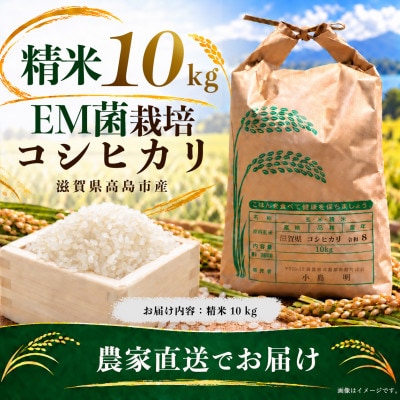 高島市 EM菌栽培コシヒカリ 精米 農家直送 10kg