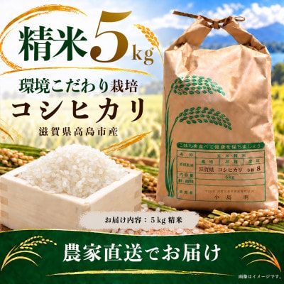 高島市 環境こだわりコシヒカリ 精米 農家直送 5kg