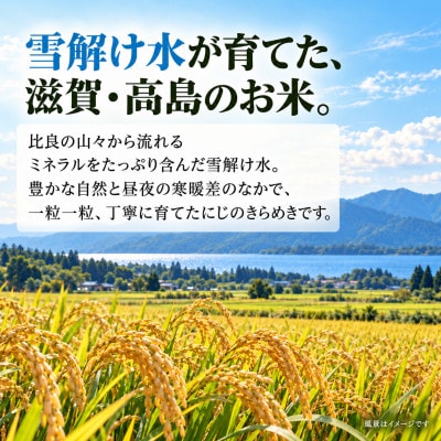 高島市 環境こだわりにじのきらめき 精米 農家直送 5kg