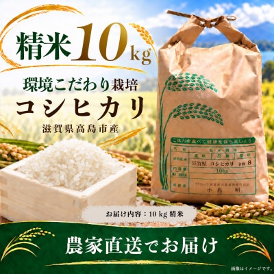 高島市 環境こだわりコシヒカリ 精米 農家直送 10kg