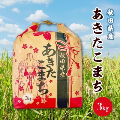 【新米先行受付】あきたこまち 3kg×1袋【白米】令和8年産 秋田県産 こまちライン