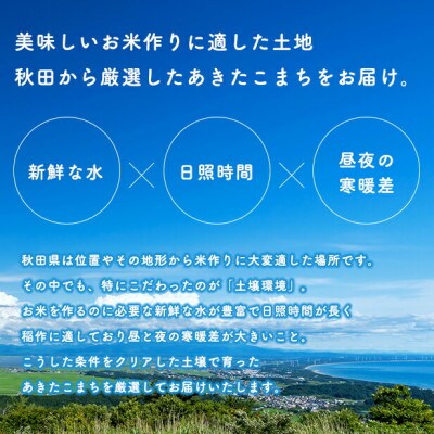 【新米先行受付】あきたこまち 3kg×1袋【7分づき(精米)】令和8年産 秋田県産 こまちライン