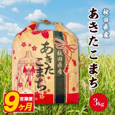 【毎月定期便】あきたこまち 3kg×1袋【白米】 秋田県産全9回
