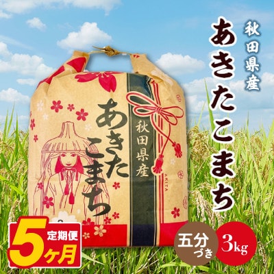 【毎月定期便】あきたこまち 3kg×1袋【5分づき(精米)】 秋田県産全5回
