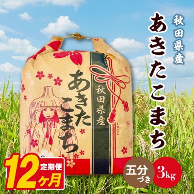 【毎月定期便】あきたこまち 3kg×1袋【5分づき(精米)】 秋田県産全12回