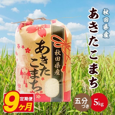 【毎月定期便】あきたこまち 5kg【5分づき(精米)】 秋田県産全9回