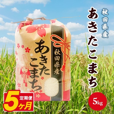 【毎月定期便】あきたこまち 5kg【白米】 秋田県産全5回