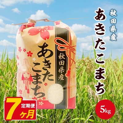 【毎月定期便】あきたこまち 5kg【白米】 秋田県産全7回