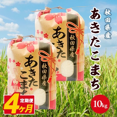 【毎月定期便】あきたこまち 10kg(5kg×2袋)【白米】 秋田県産全4回
