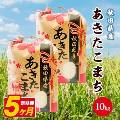 【毎月定期便】あきたこまち 10kg(5kg×2袋)【白米】 秋田県産全5回