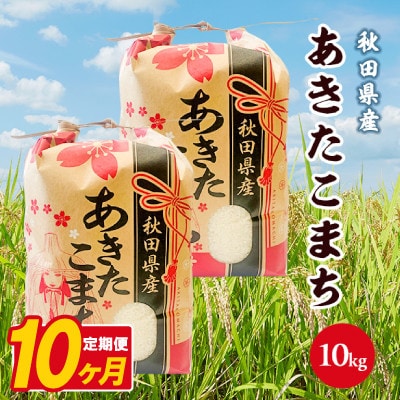 【毎月定期便】あきたこまち 10kg(5kg×2袋)【白米】 秋田県産全10回
