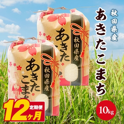 【毎月定期便】あきたこまち 10kg(5kg×2袋)【白米】 秋田県産全12回