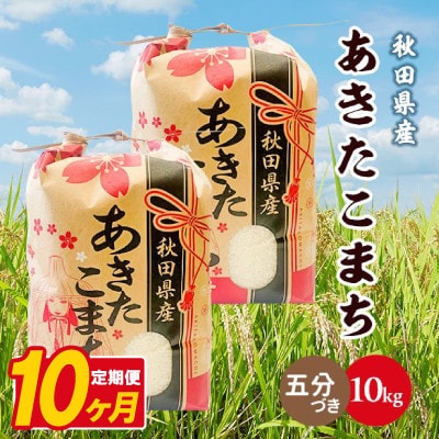 【毎月定期便】あきたこまち 10kg(5kg×2袋)【5分づき(精米)】 秋田県産全10回