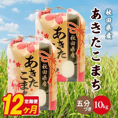 【毎月定期便】あきたこまち 10kg(5kg×2袋)【5分づき(精米)】 秋田県産全12回