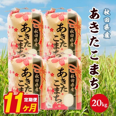 【毎月定期便】あきたこまち 20kg(5kg×4袋)【白米】 秋田県産全11回