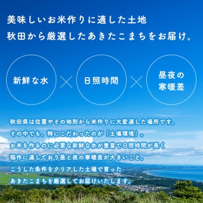 【毎月定期便】あきたこまち 家計お助け米 5kg【白米】 秋田県産全6回