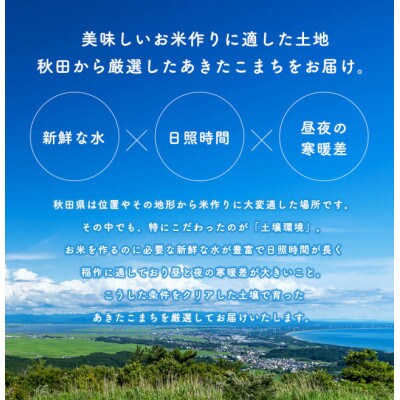 【毎月定期便】あきたこまち 家計お助け米 20kg(5kg×4袋)【白米】 秋田県産全5回