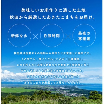 【毎月定期便】あきたこまち 家計お助け米 20kg(5kg×4袋)【白米】 秋田県産全6回
