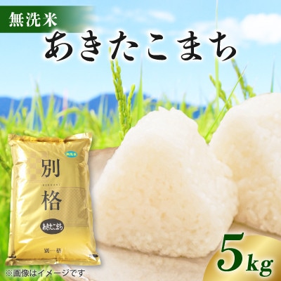 【毎月定期便】あきたこまち 5kg 【無洗米】全11回