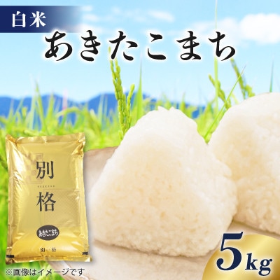 【毎月定期便】あきたこまち 5kg 【白米】全12回