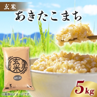 【毎月定期便】あきたこまち 5kg 【玄米】全4回