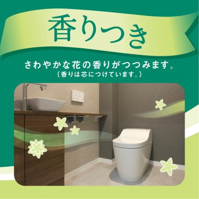 【ダブル】エリエール　トイレットティシュー12ロール×6パック