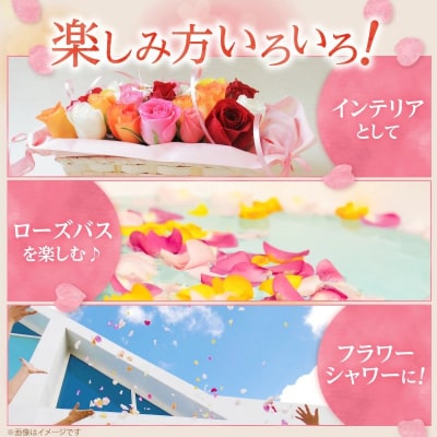 〈日付指定も可能〉ローズインにゅーよーくミックス30輪 バラ30輪詰め合わせ　お花　H193-021
