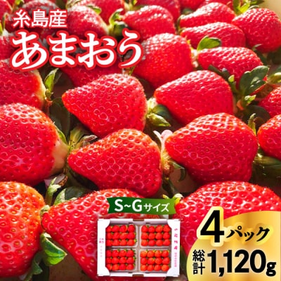 y_ƒ!zY܂280g×4pbN(STCY`GTCY) 㓡_ [AML003]