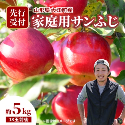 《先行受付》大江町産 家庭用サンふじ約5kg 18玉前後【11月下旬発送予定】067-002
