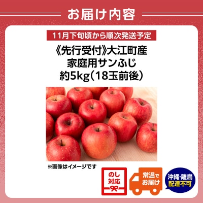 《先行受付》大江町産 家庭用サンふじ約5kg 18玉前後【11月下旬発送予定】067-002