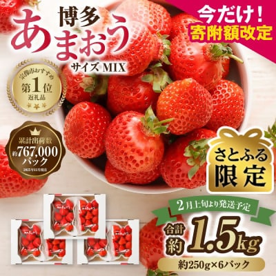 【さとふる限定】【数量限定】「博多あまおう」約250g×6パック【JAほたるの里】_HA1934