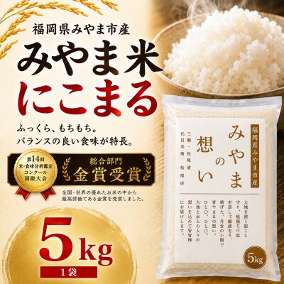 【令和7年産】《国際大会金賞受賞歴あり》福岡みやま米 5kg