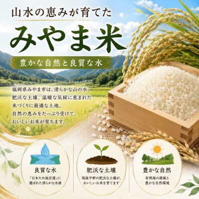 福岡県みやま市産  白米20kg (10kg×2袋) ～銀座の料亭 ご愛用のお米～