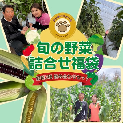アッキーファームの旬の野菜詰合せ福袋 (野菜3種) 詰め合わせ セット