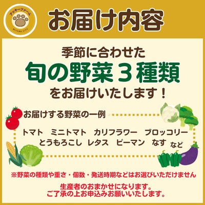 アッキーファームの旬の野菜詰合せ福袋 (野菜3種) 詰め合わせ セット