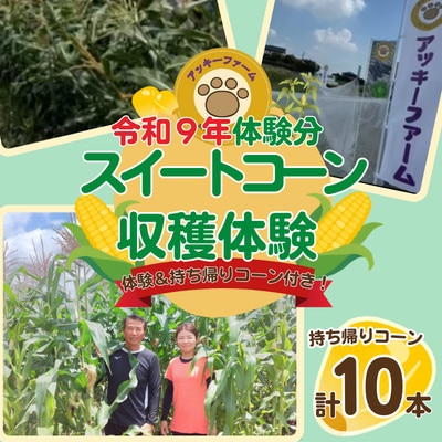 アッキーファーム スイートコーン収穫体験 (スイートコーン10本込み)