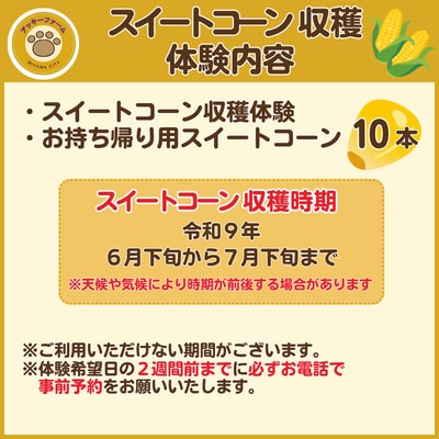 アッキーファーム スイートコーン収穫体験 (スイートコーン10本込み)
