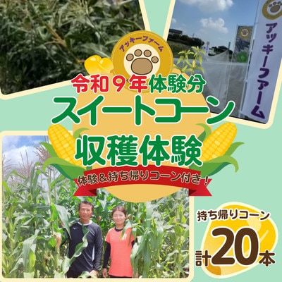 アッキーファーム スイートコーン収穫体験 (スイートコーン20本込み)