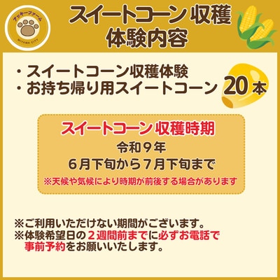アッキーファーム スイートコーン収穫体験 (スイートコーン20本込み)